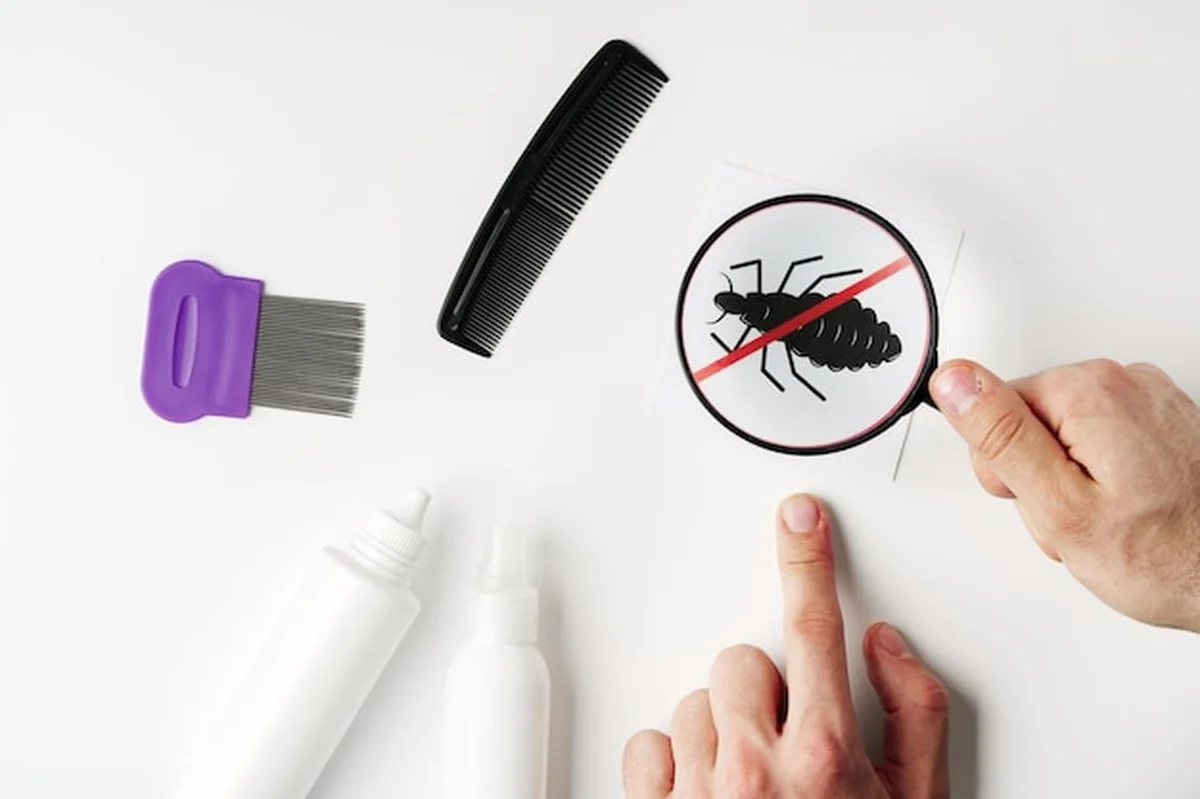 Narzędzia do badania i leczenia infestacji wszy w domu